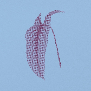 Tropical long leaf graphic element, | Free PSD - rawpixel Tropical long leaf graphic element, | Free PSD - rawpixel