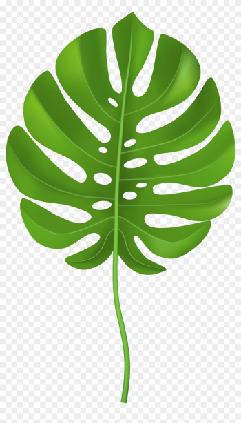 Tropical Palm Leaf Transparent Png Clip Art Image - Tropical Leaf Clip Art Png