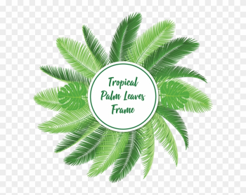 Tropical Palm Leaves Frame With Typography, Tropical, - Tropics