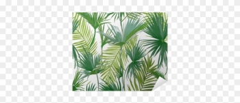 Tropical Palm Leaves, Jungle Leaves Seamless Vector - Palm Leaf