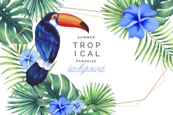 Tropical paradise background with golden frame Free Vector