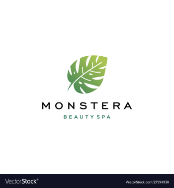 Tropical plant leaves logo monstera leaves logo vector image Tropical plant leaves logo monstera leaves logo vector image