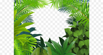 Tropical rainforest Jungle Tropics Clip art - Yin green grass 