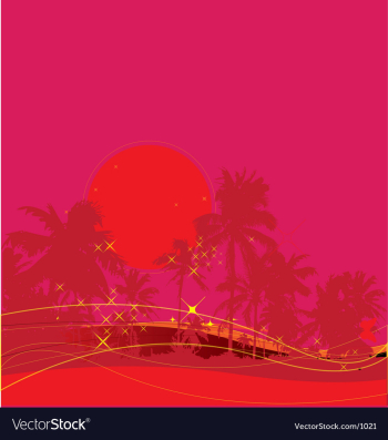 Tropical sunset vector image Tropical sunset vector image