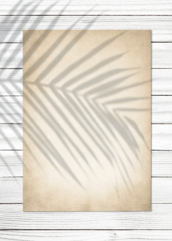 Tropical vintage paper mockup | Free stock psd mockup - 578704 Tropical vintage paper mockup | Free stock psd mockup - 578704