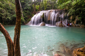 Tropical Waterfall Tropical Waterfall