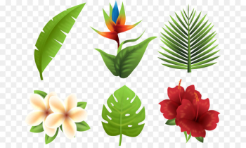 Tropics Euclidean vector Flower - tropical plants 