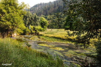 Trout stream at the Ranch A Education Center .. | Free public domain photo - 434369