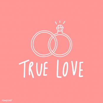 True love typography with wedding rings vecto.. | Free stock vector - 519699 True love typography with wedding rings vecto.. | Free stock vector - 519699