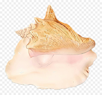 Trumpet, Conch, Jaw, Shankha PNG Trumpet, Conch, Jaw, Shankha PNG