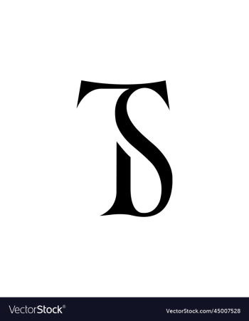 ts logo ts logo
