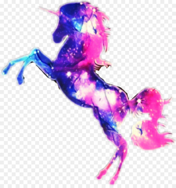 Tshirt, Unicorn, Shirt, Graphic Design, Liquid PNG Tshirt, Unicorn, Shirt, Graphic Design, Liquid PNG