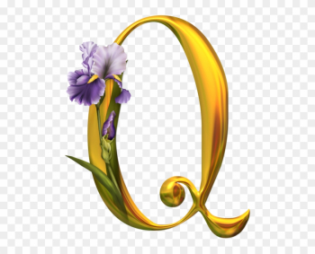 Tube Alphabet - Beautiful Alphabet Q
