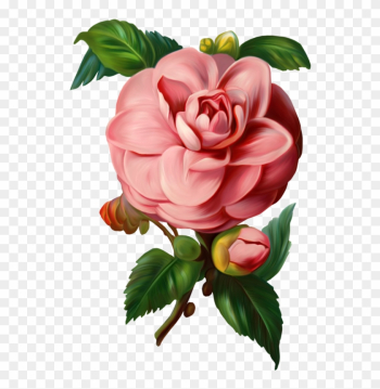 Tubes Fleurs - Vintage Rose Vector Png Tubes Fleurs - Vintage Rose Vector Png