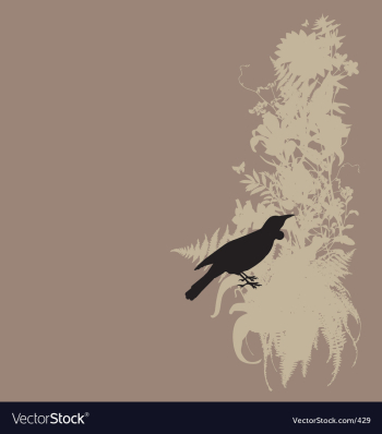 Tui and native bush vector image Tui and native bush vector image
