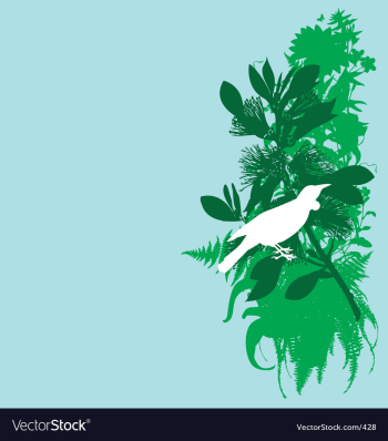 Tui and pohutukawa vector image Tui and pohutukawa vector image