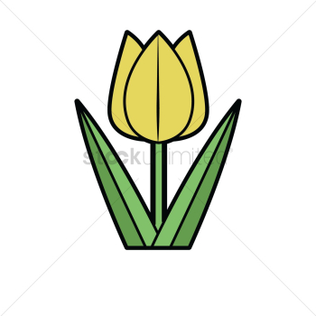 Tulip Tulip