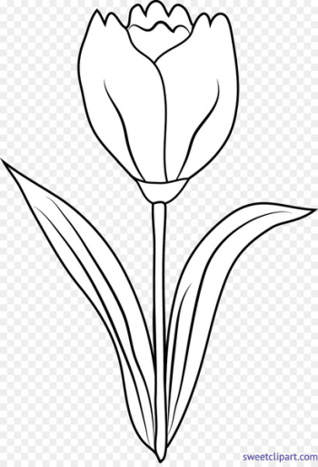 Tulip Drawing Clip art Image Graphics - tulip Tulip Drawing Clip art Image Graphics - tulip