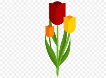 Tulip Euclidean vector Illustration - Hand-painted tulip vector 