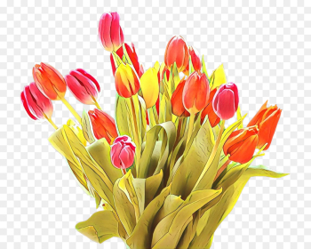 Tulip, Flower, Cut Flowers PNG Tulip, Flower, Cut Flowers PNG