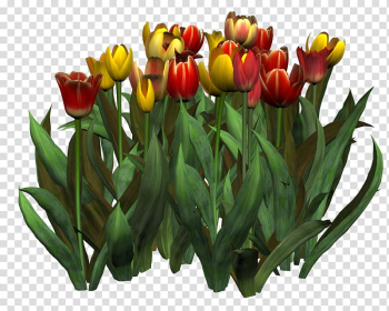 Tulip Flower Painting , mulberry transparent background PNG clipart Tulip Flower Painting , mulberry transparent background PNG clipart