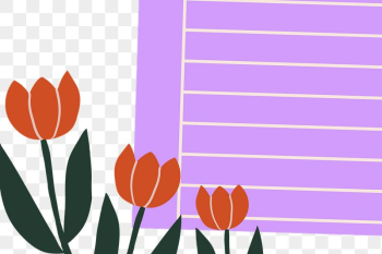 Tulip flowers png sticker, transparent | Free PNG - rawpixel