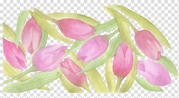 Tulip Watercolor painting, Tulip Shading transparent background PNG clipart Tulip Watercolor painting, Tulip Shading transparent background PNG clipart