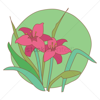 Tulips Tulips