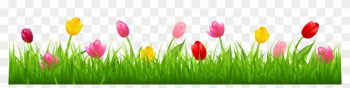 Tulips Clipart Border Tulips Clipart Border