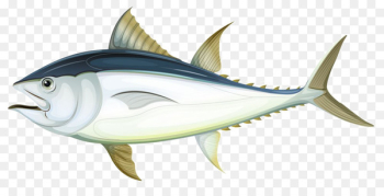 Tuna Fish anatomy Illustration - Creative gray fish 