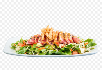 Tuna salad Mediterranean cuisine Tuna fish sandwich Dish - fresh cucumber slices hq pictures 