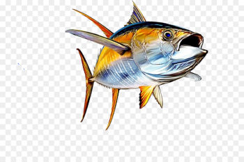 Tuna Salad, Yellowfin Tuna, Tuna, Fish, Fin PNG Tuna Salad, Yellowfin Tuna, Tuna, Fish, Fin PNG