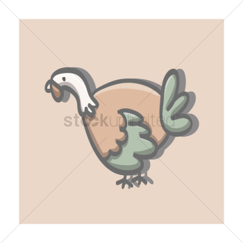 Turkey Turkey