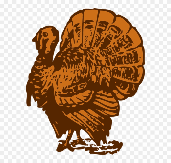 Turkey-30877 960 - Spanish Word For Turkey Turkey-30877 960 - Spanish Word For Turkey