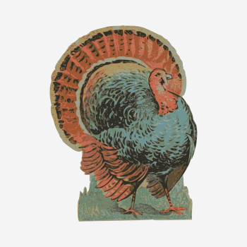 Turkey clipart, vintage bird illustration. | Free Photo - rawpixel Turkey clipart, vintage bird illustration. | Free Photo - rawpixel