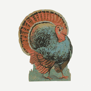 Turkey clipart, vintage bird illustration | Free PSD - rawpixel Turkey clipart, vintage bird illustration | Free PSD - rawpixel