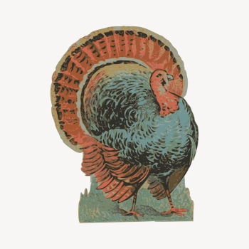 Turkey clipart, vintage bird illustration | Free Vector - rawpixel Turkey clipart, vintage bird illustration | Free Vector - rawpixel