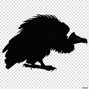 Turkey vulture Drawing Line art, vulture transparent background PNG clipart Turkey vulture Drawing Line art, vulture transparent background PNG clipart