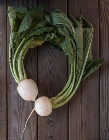 Turnips In Love 