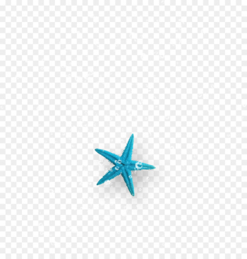 Turquoise Starfish Computer Wallpaper - Starfish bubbles Turquoise Starfish Computer Wallpaper - Starfish bubbles