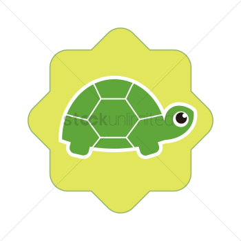 Turtle Turtle