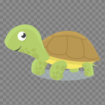 Turtle baby illustration - Transparent PNG & SVG vector