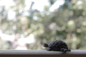 Turtle Figurine Turtle Figurine