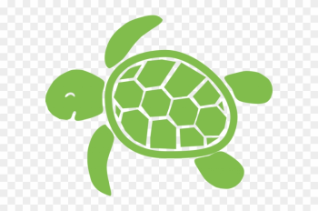Turtle Svg For Cricut - Turtle Svg Turtle Svg For Cricut - Turtle Svg