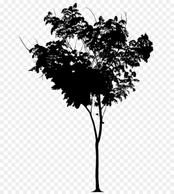 Twig Flower Plant stem Leaf Silhouette - Twig Flower Plant stem Leaf Silhouette -