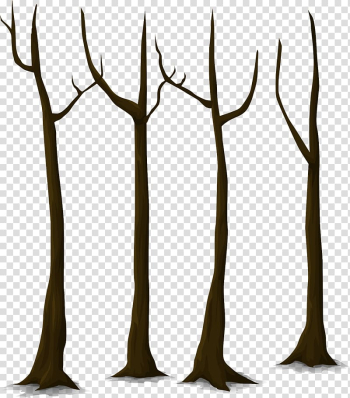 Twig Forest Snag , forest transparent background PNG clipart