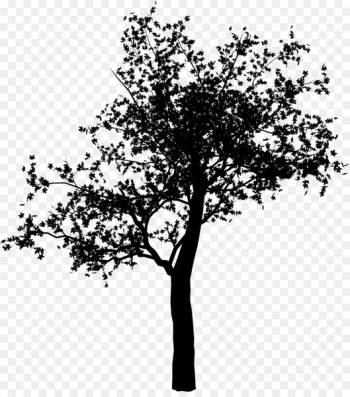 Twig Plant stem Leaf Flower Font - Twig Plant stem Leaf Flower Font -