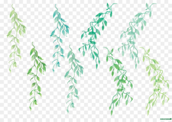 Twig, Plant Stem, Leaf, Green PNG Twig, Plant Stem, Leaf, Green PNG