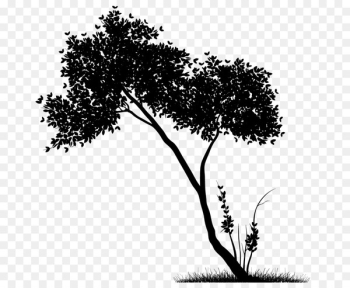 Twig Plant stem Leaf Silhouette Plants - Twig Plant stem Leaf Silhouette Plants -