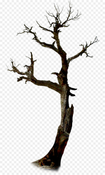 Twig The Halloween Tree Clip art - dead tree Twig The Halloween Tree Clip art - dead tree